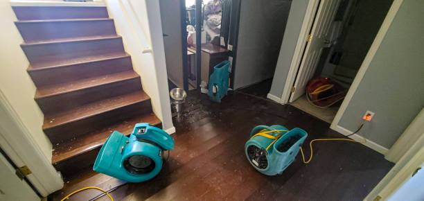 Best Water damage restoration near me  in Westminster, TX