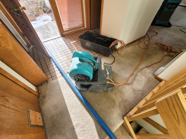 Best Water damage restoration specialists  in Westminster, TX