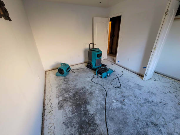 Best Emergency water damage restoration  in Westminster, TX