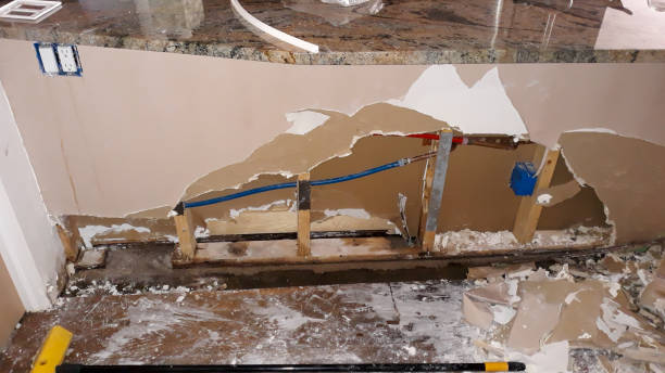 Best Basement water damage restoration  in Westminster, TX