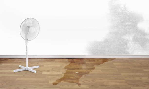 Best Ceiling water damage repair  in Westminster, TX